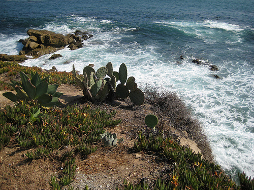 CA/USA Beach-2008