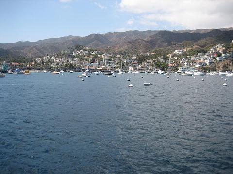 Welcome to Catalina Island.