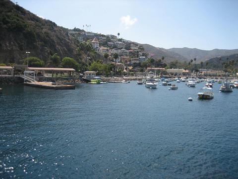 A lovely picture of boats port of Catalina Island.