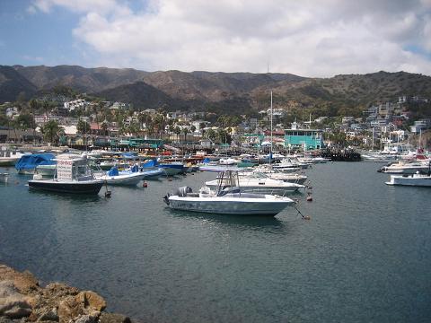 Boats everywhere in Catalina Water.