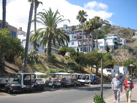 A wonderful picture of Catalina Houses.