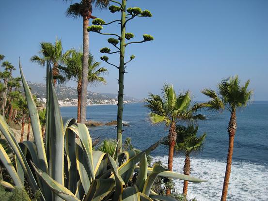 CA/USA Beach-2008