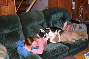 Amber, Nuka and Max having a cuddle. May 25, 2007