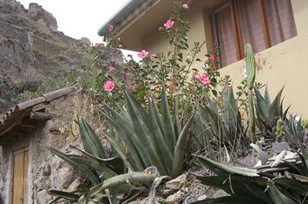 The modern area of Ollantaytambo